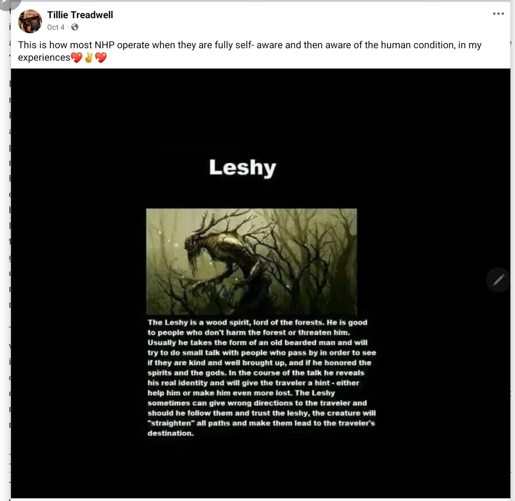 Leshy Forget... cover